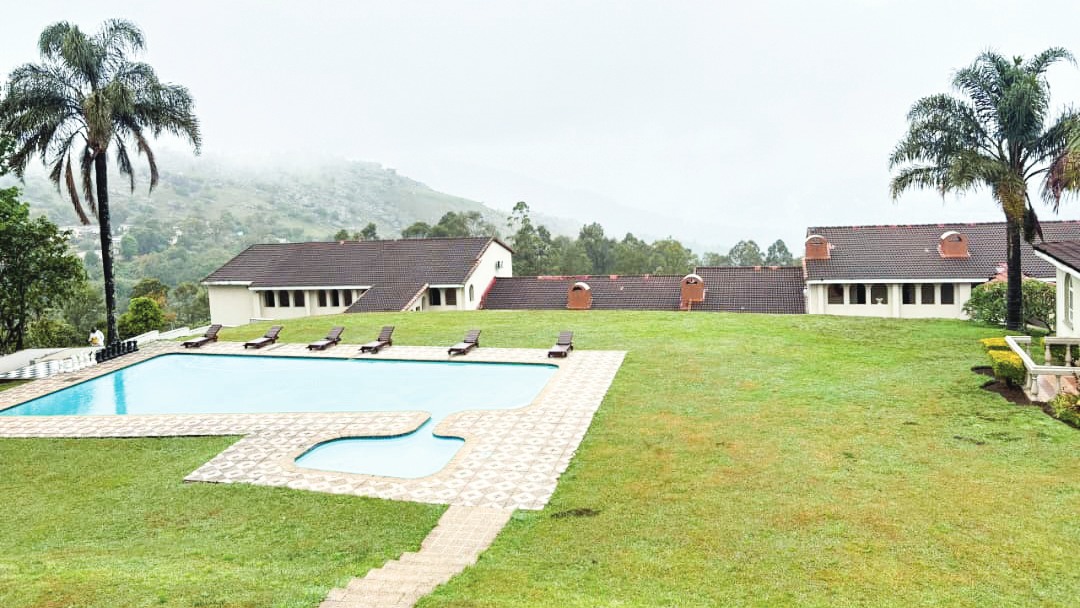 Up for a little fun in the sun? Mountain View is brimming with poolside vibes! 